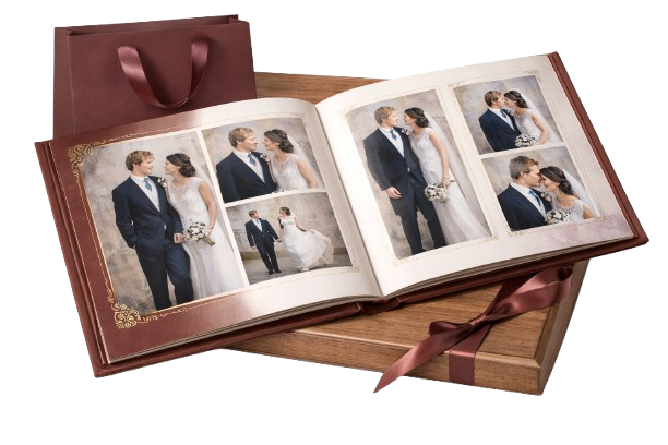 Consectetur Dipiscing